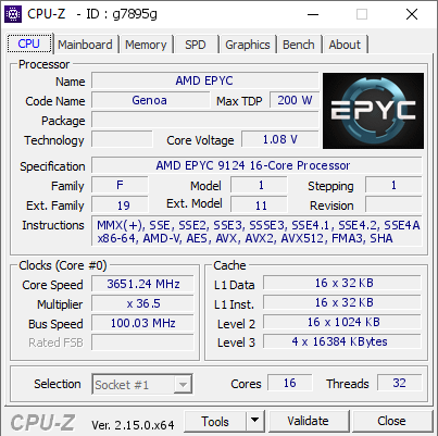 screenshot of CPU-Z validation for Dump [g7895g] - Submitted by  DESKTOP-NENKOIU  - 2025-06-11 09:43:44