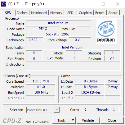 Intel Pentium 100 Mhz Cpu Z Validator