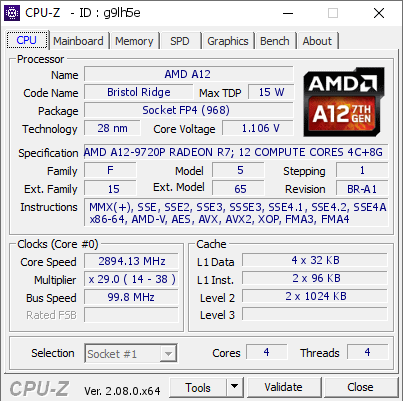 AMD A12 2894.13 MHz CPU Z VALIDATOR