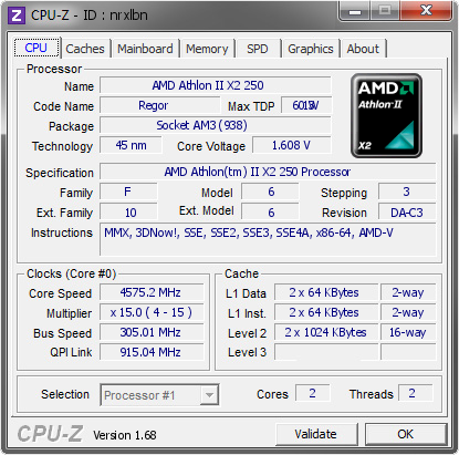 palm raft bust AMD Athlon II X2 250 @ 4575.2 MHz - CPU-Z VALIDATOR